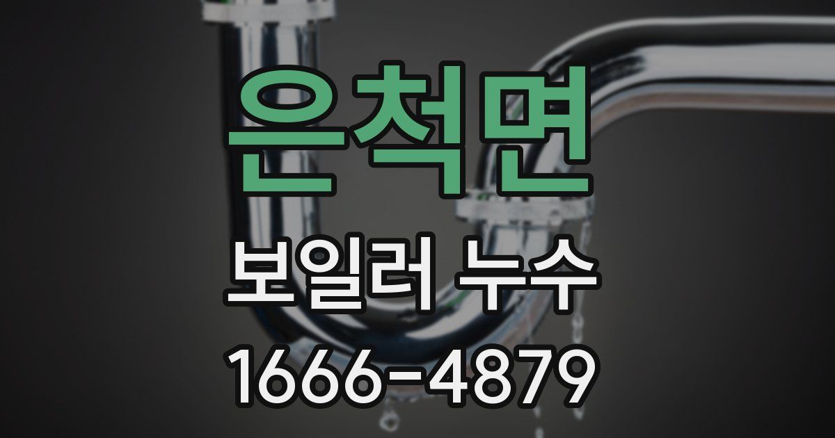 은척면 보일러 누수