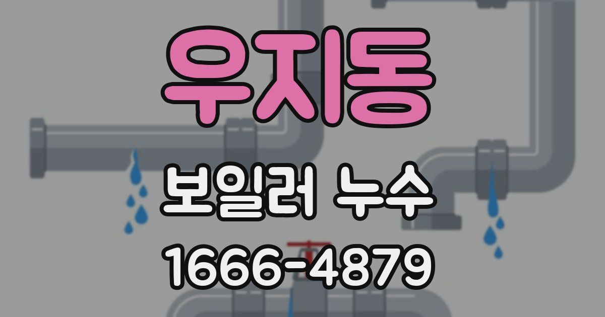 우지동 보일러 누수