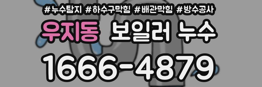 우지동 보일러 누수