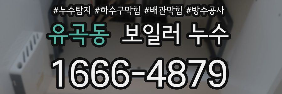 유곡동 보일러 누수