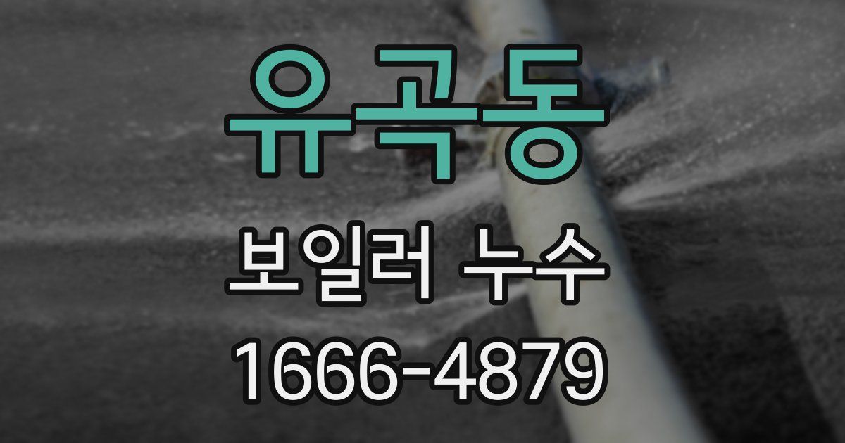 유곡동 보일러 누수