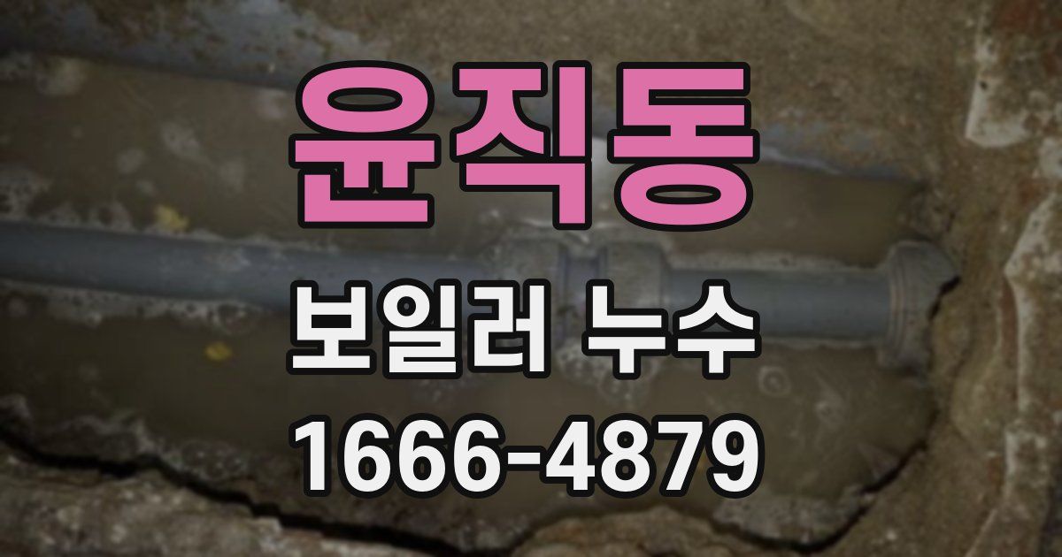 윤직동 보일러 누수
