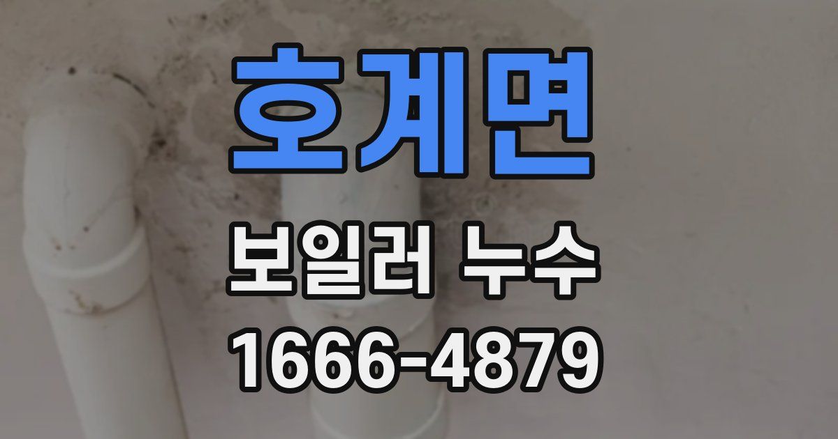 호계면 보일러 누수