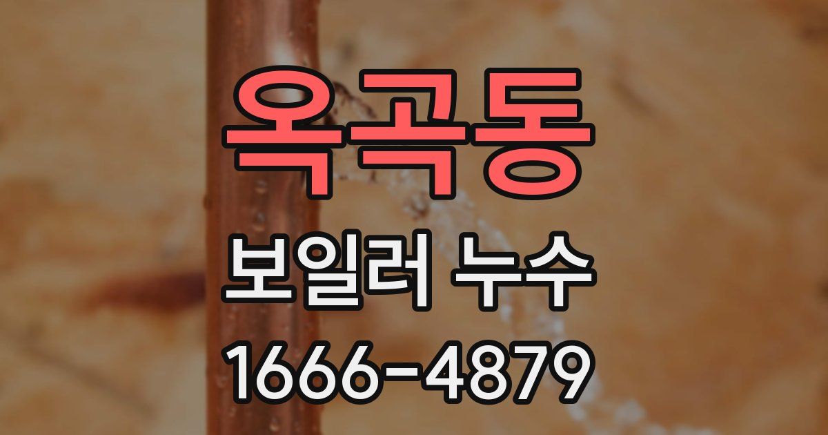 옥곡동 보일러 누수