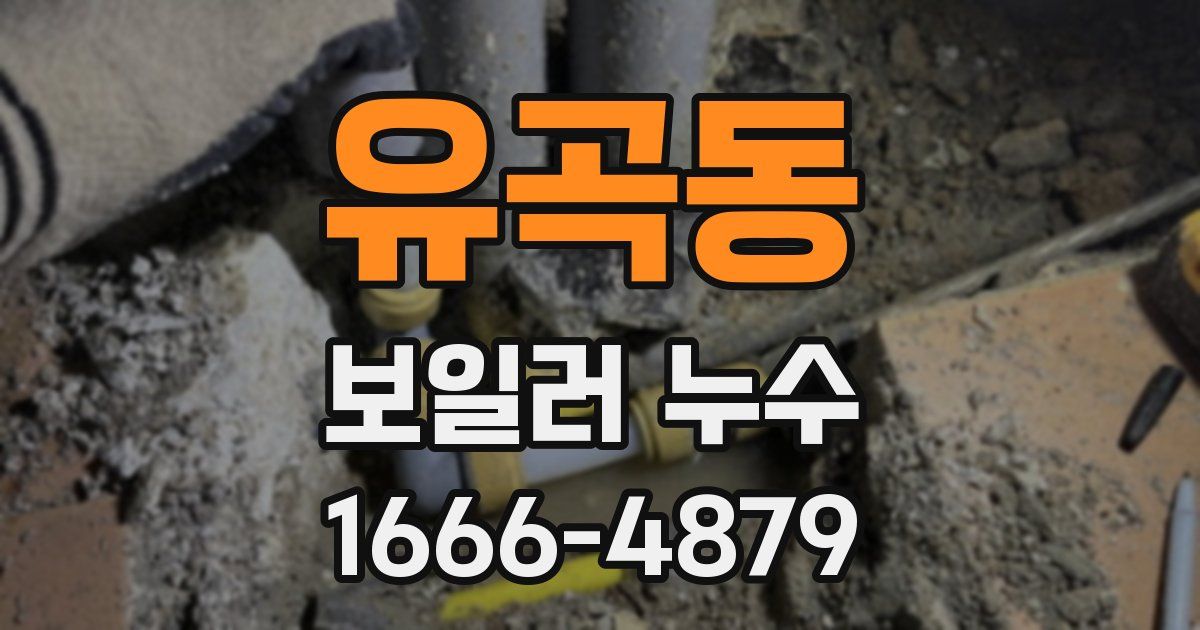 유곡동 보일러 누수