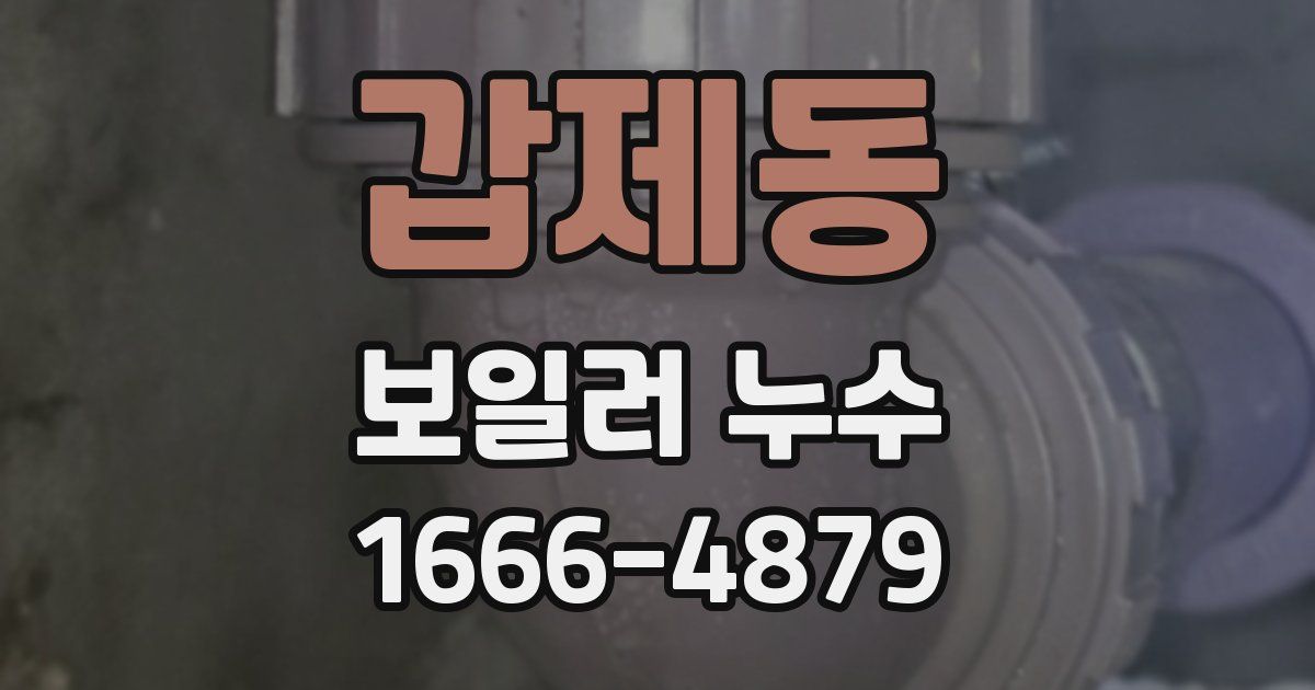갑제동 보일러 누수