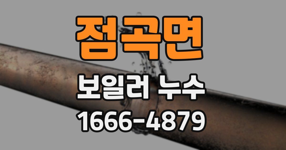 점곡면 보일러 누수