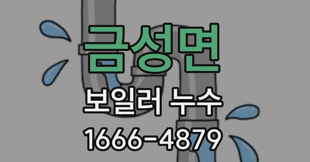 금성면 보일러 누수