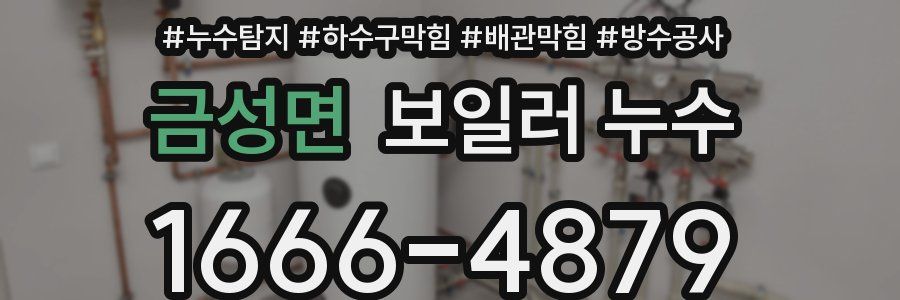 금성면 보일러 누수
