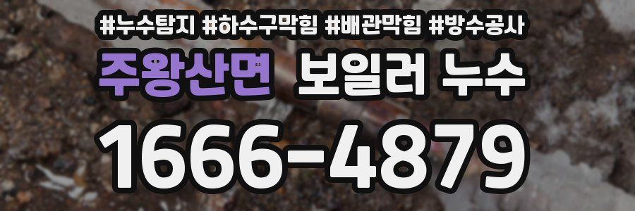 주왕산면 보일러 누수