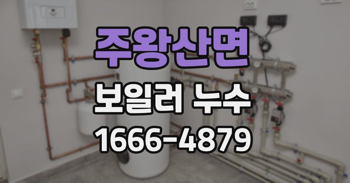 주왕산면 보일러 누수