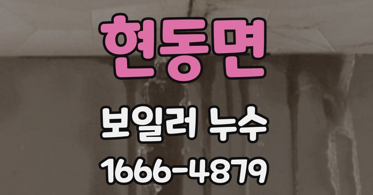 현동면 보일러 누수