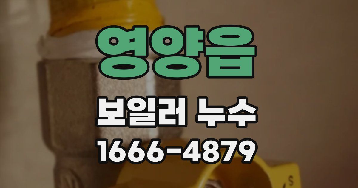영양읍 보일러 누수