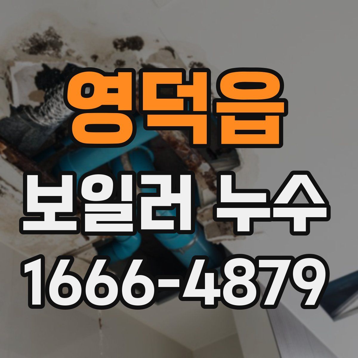 영덕읍 보일러 누수
