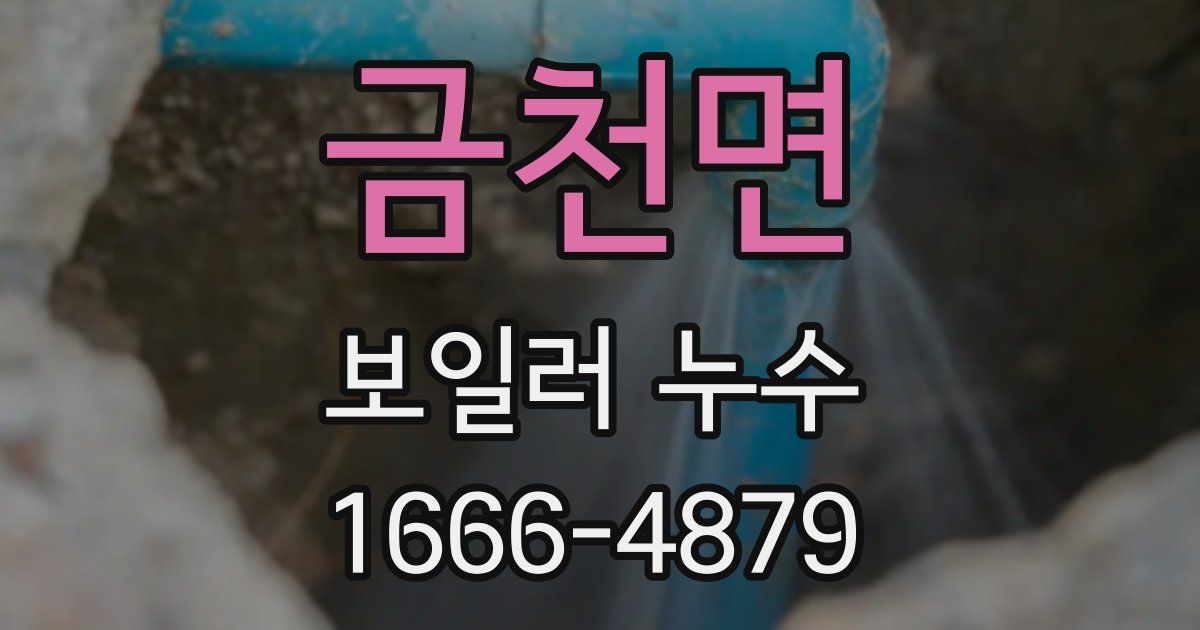 금천면 보일러 누수
