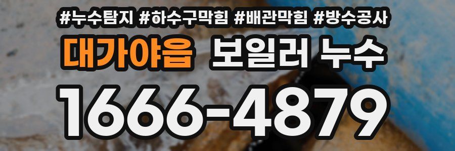 대가야읍 보일러 누수