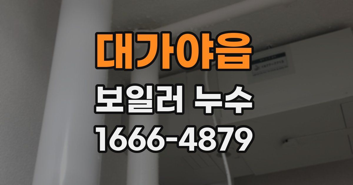 대가야읍 보일러 누수