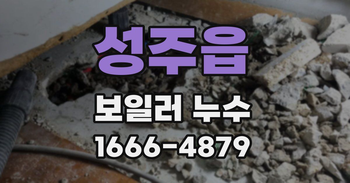 성주읍 보일러 누수