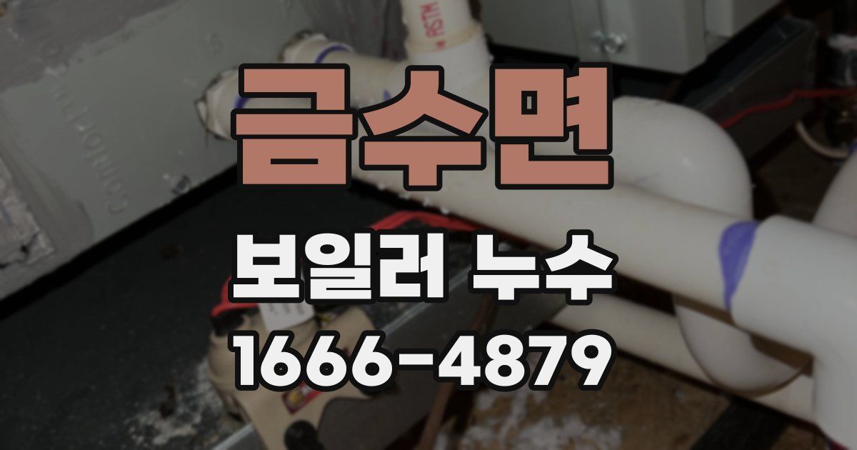 금수면 보일러 누수