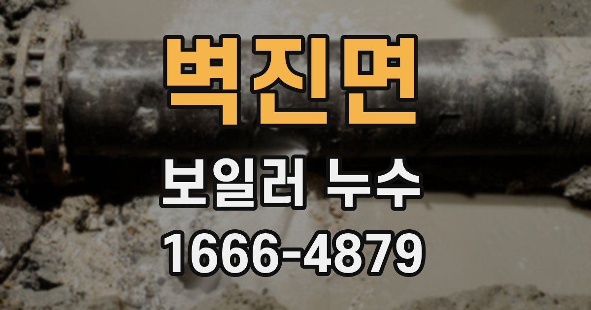 벽진면 보일러 누수