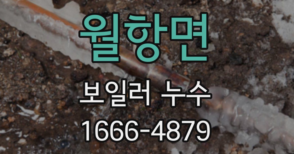 월항면 보일러 누수