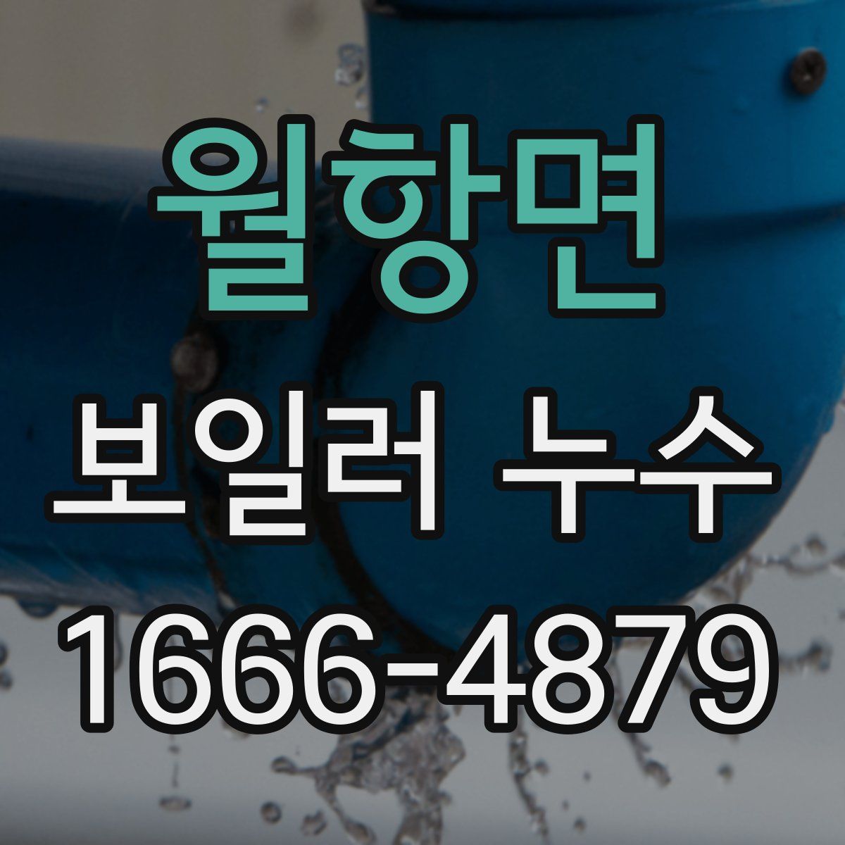 월항면 보일러 누수
