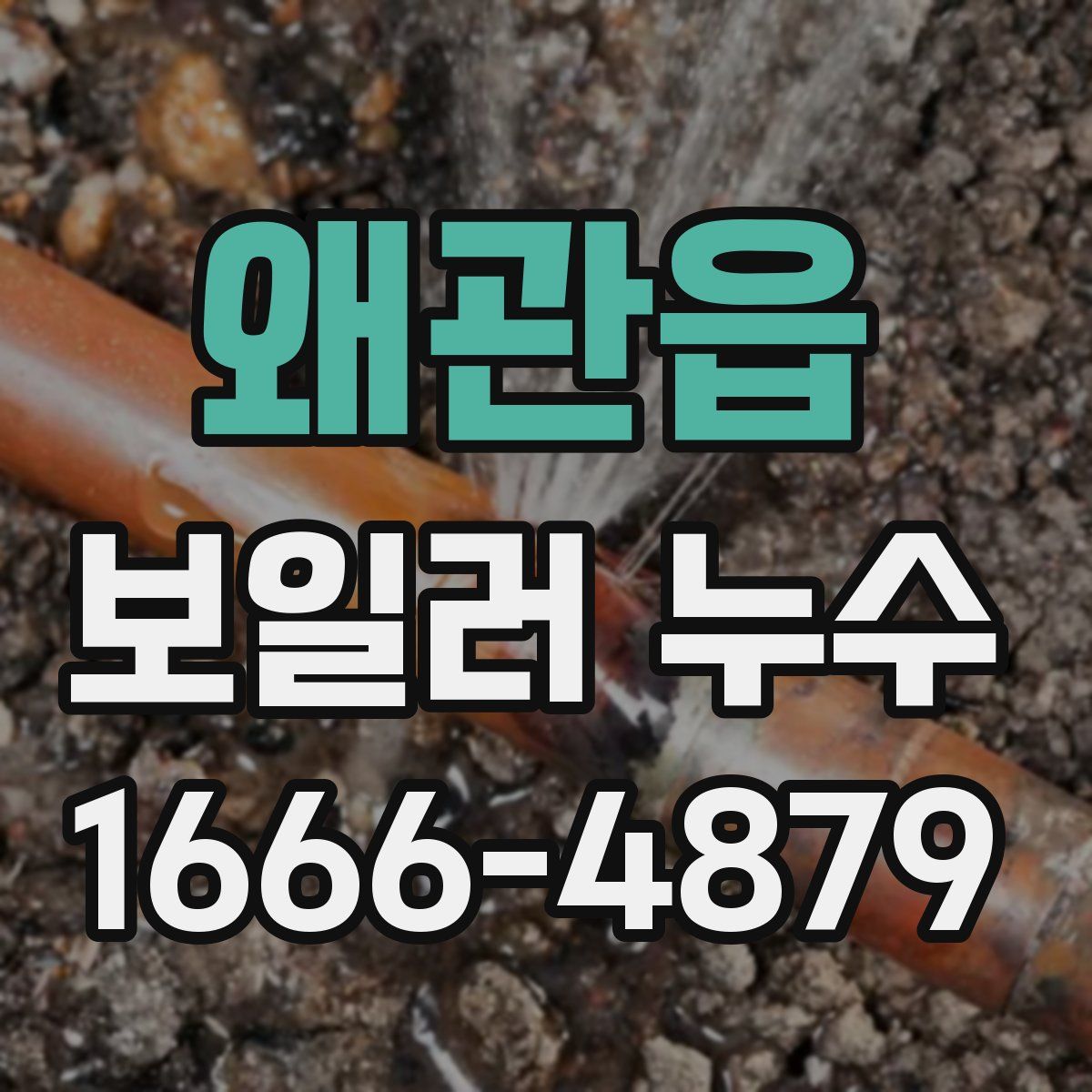 왜관읍 보일러 누수