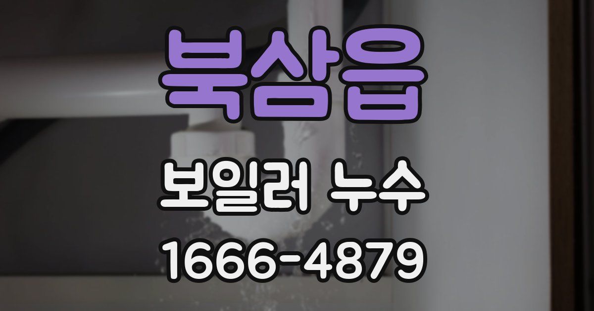 북삼읍 보일러 누수