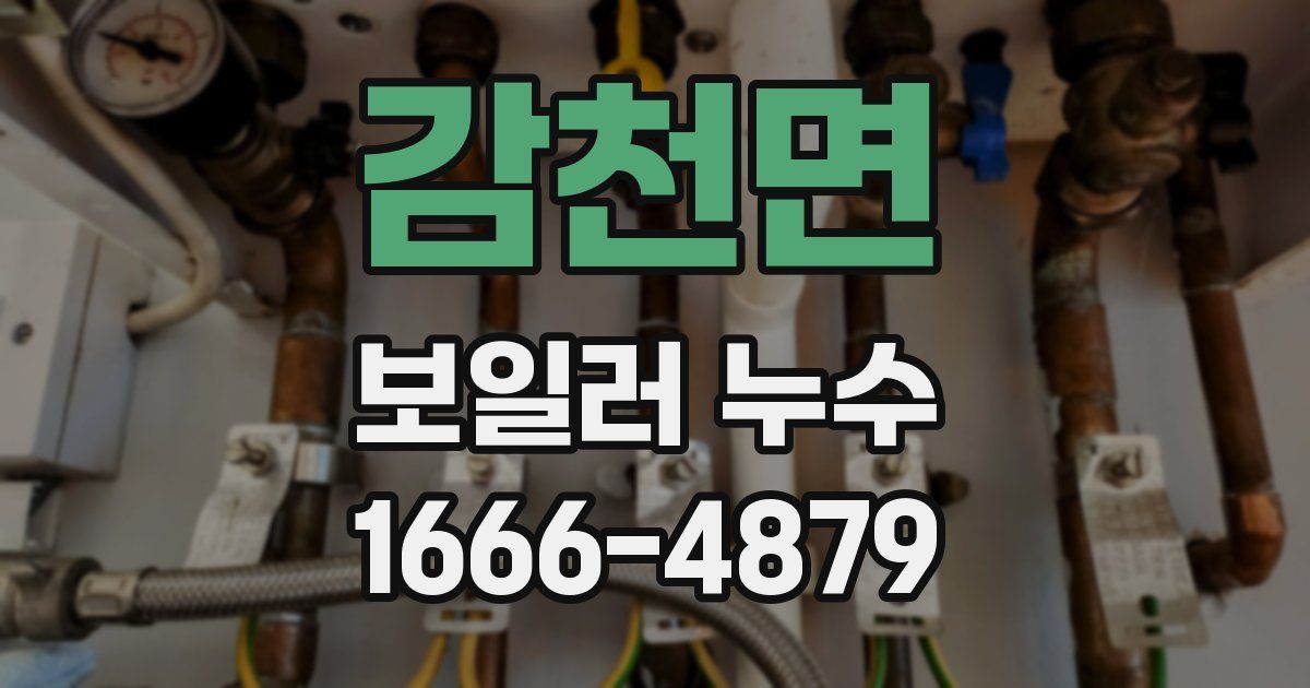 감천면 보일러 누수