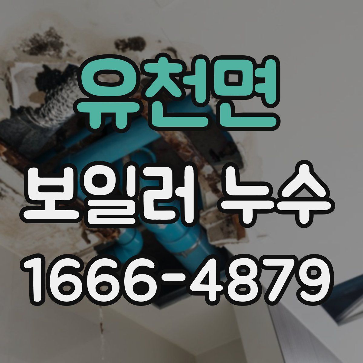 유천면 보일러 누수