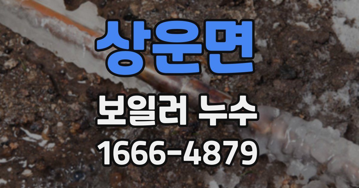 상운면 보일러 누수