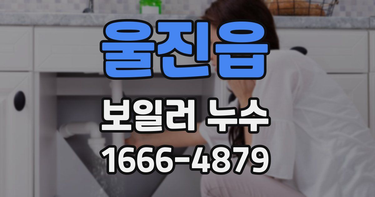 울진읍 보일러 누수