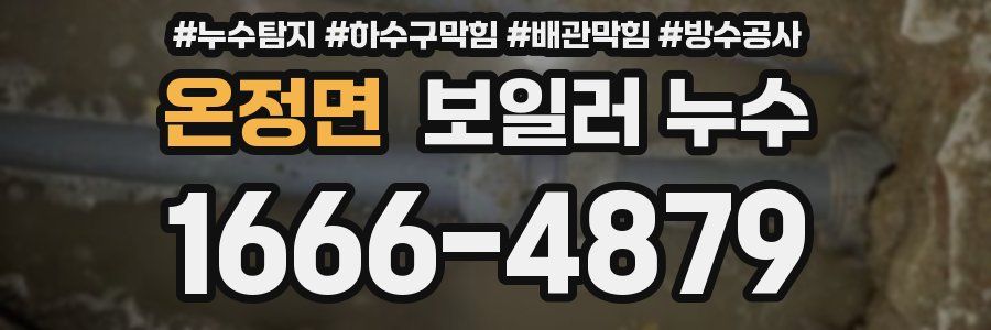 온정면 보일러 누수