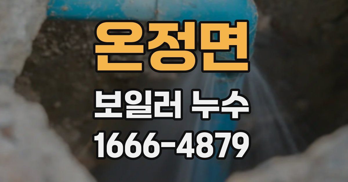 온정면 보일러 누수