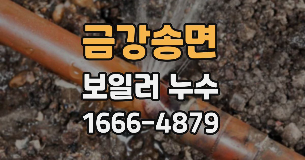 금강송면 보일러 누수