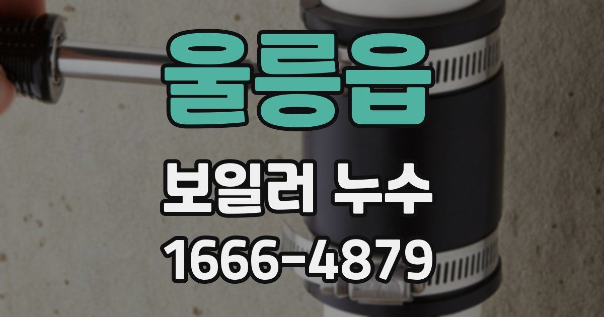 울릉읍 보일러 누수