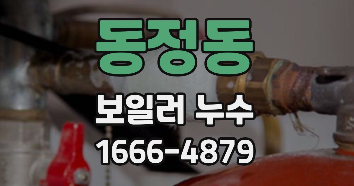 동정동 보일러 누수