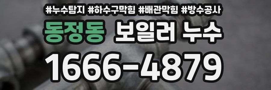 동정동 보일러 누수
