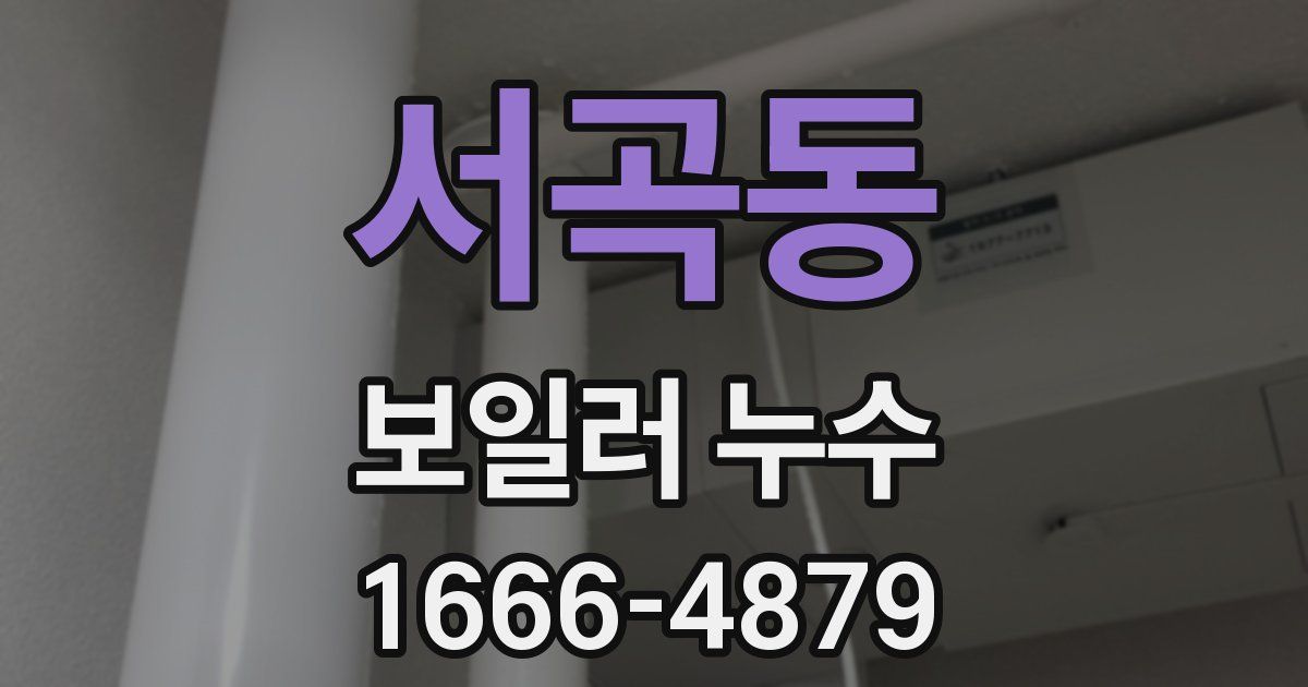 서곡동 보일러 누수