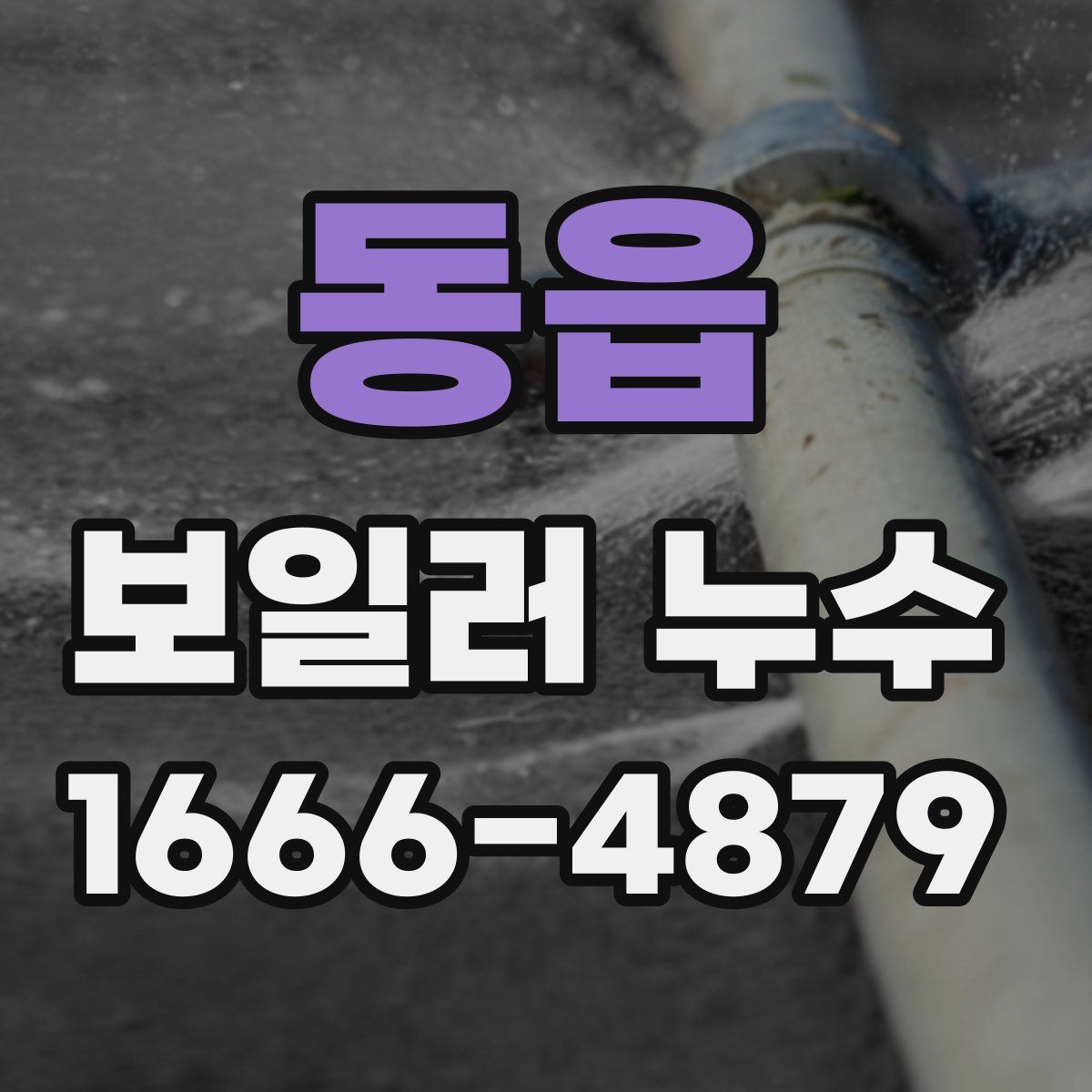동읍 보일러 누수