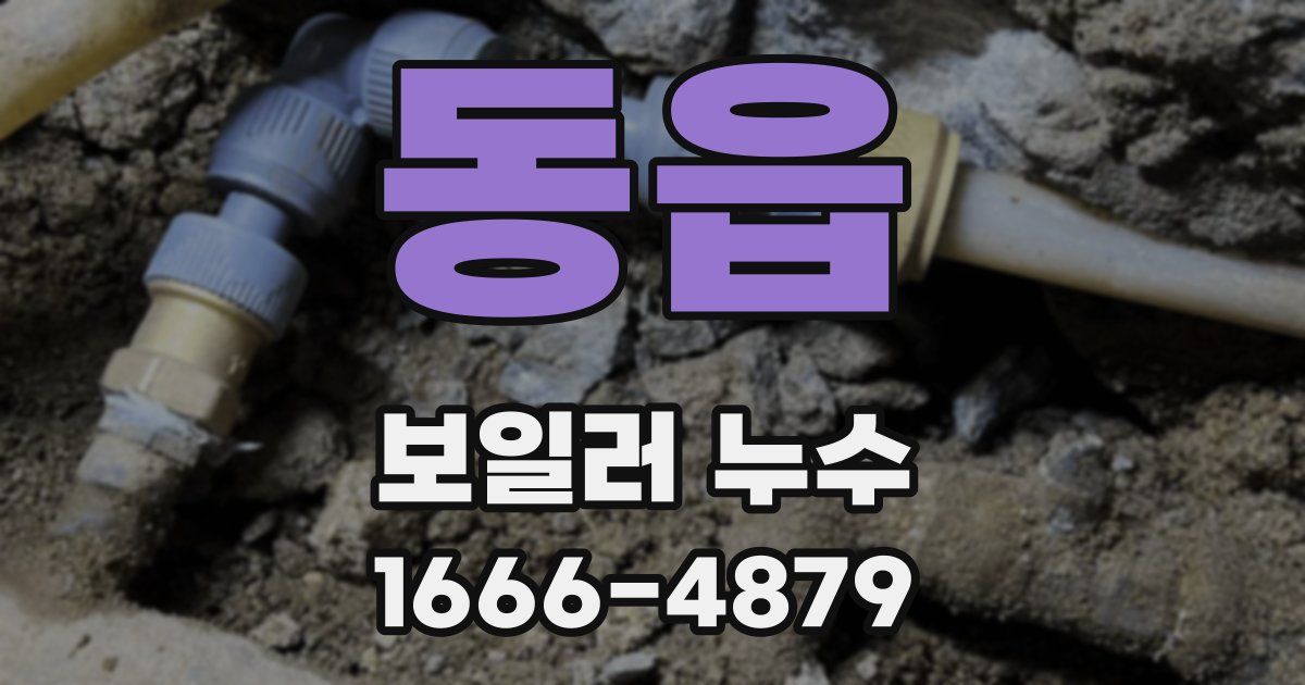 동읍 보일러 누수