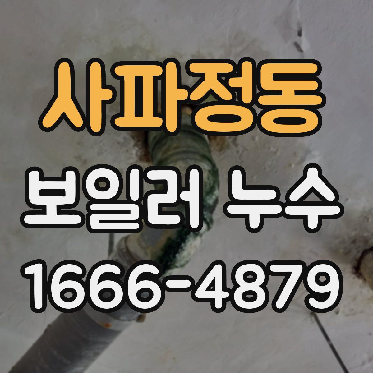 사파정동 보일러 누수