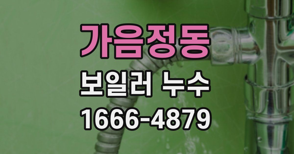 가음정동 보일러 누수