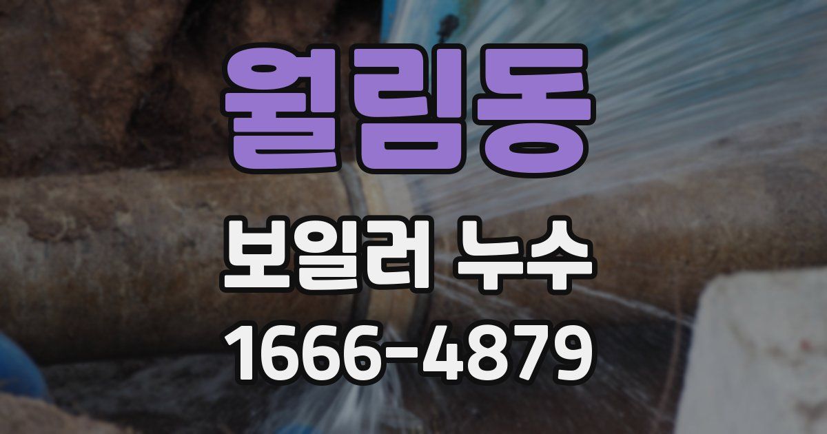 월림동 보일러 누수