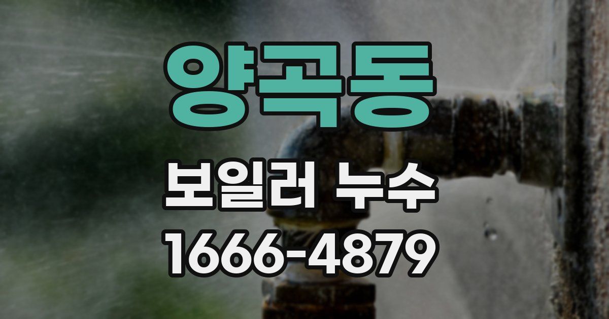 양곡동 보일러 누수