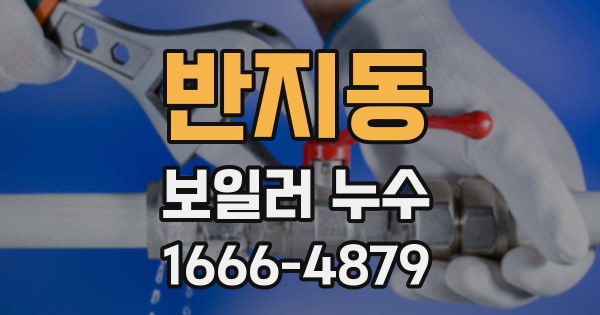 반지동 보일러 누수