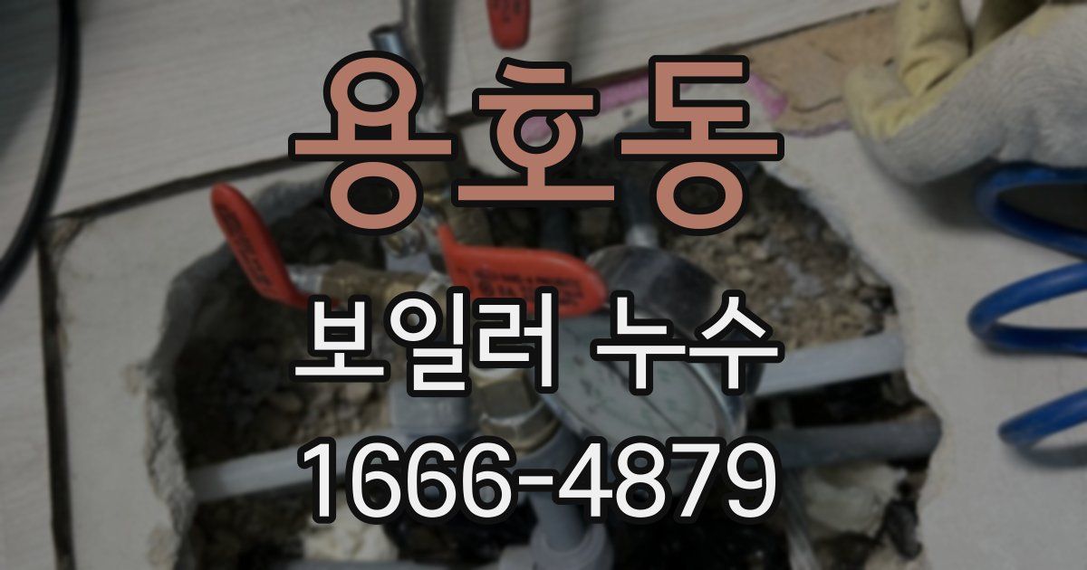 용호동 보일러 누수