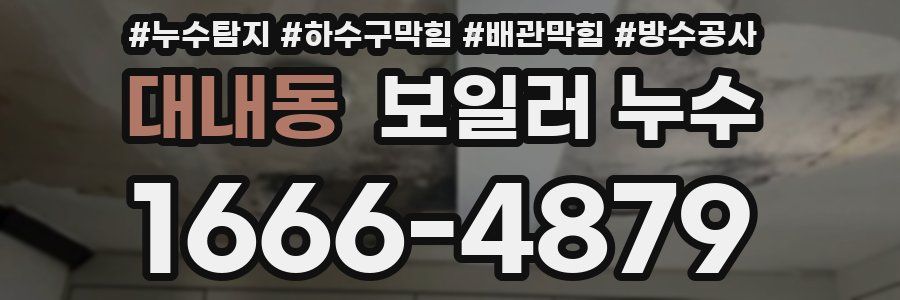 대내동 보일러 누수