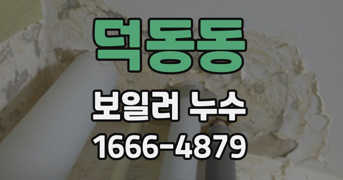 덕동동 보일러 누수