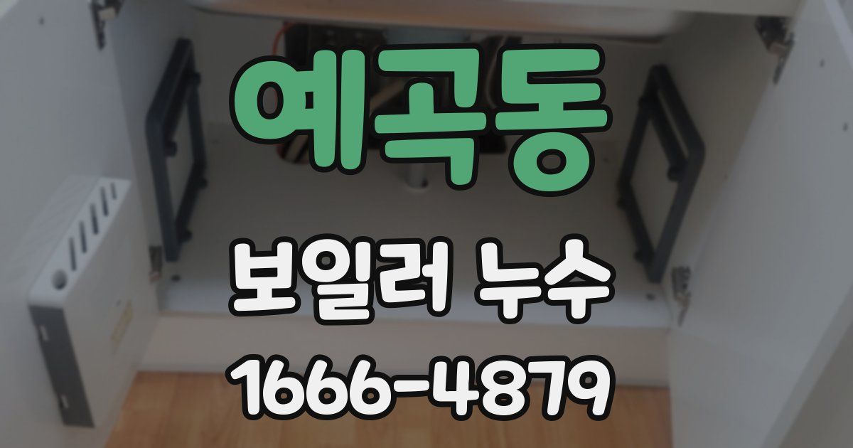 예곡동 보일러 누수